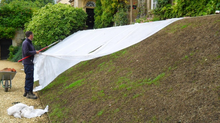 How to Grow Grass Seed Quickly, Easily & Successfully