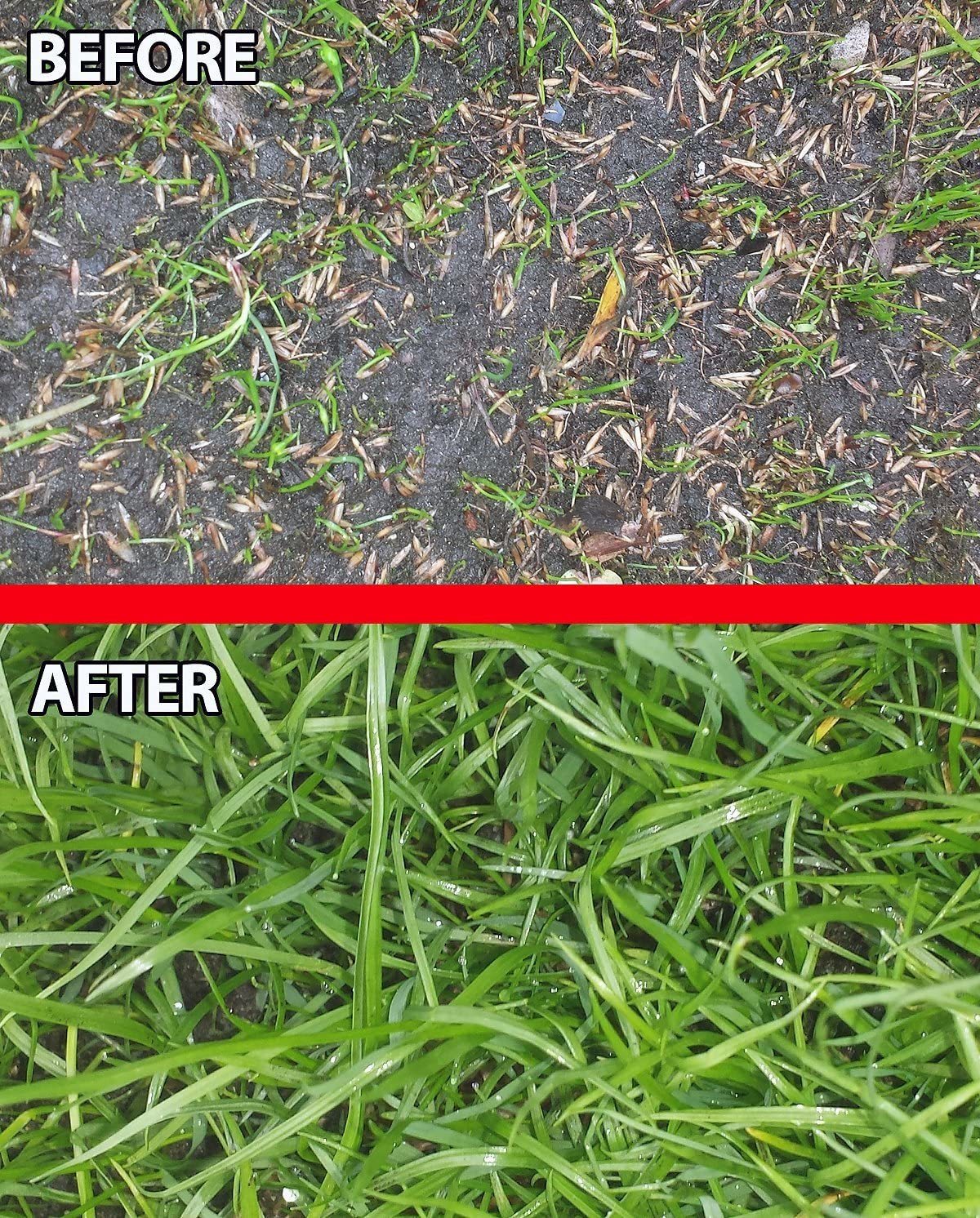 before-after