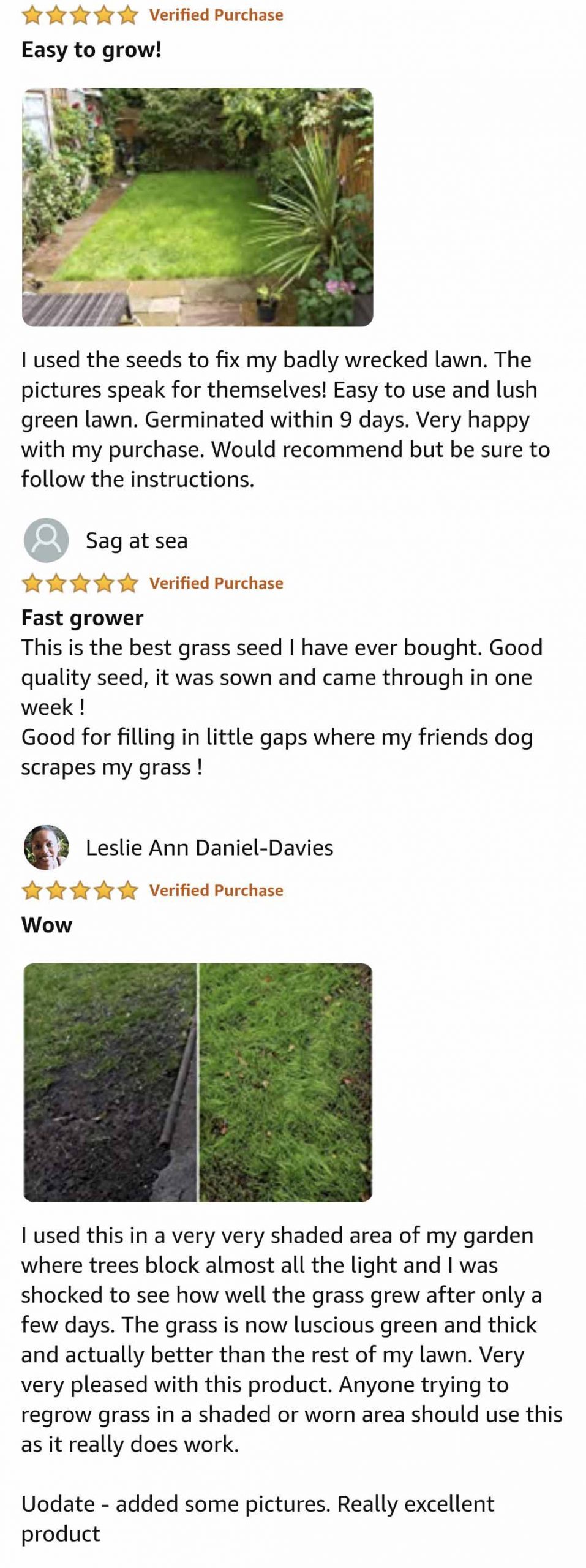 grass-seed-reviews