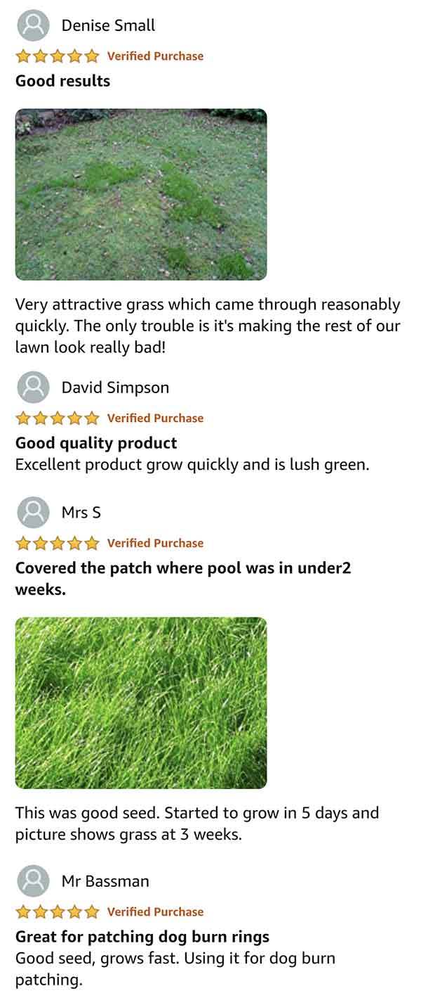 reviews-tall-final