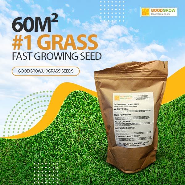Fast Growing, Shade Tolerant Grass Seed for Any Lawn, Shade, Wet, Shine