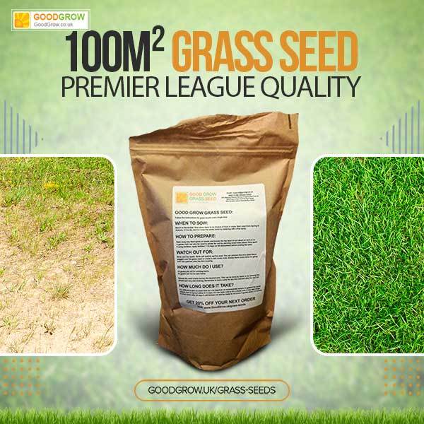 Fast Growing, Shade Tolerant Grass Seed for Any Lawn, Shade, Wet, Shine