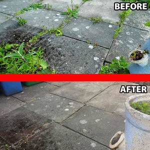 Is Bleach a Weed Killer? Kill Weeds with Bleach.