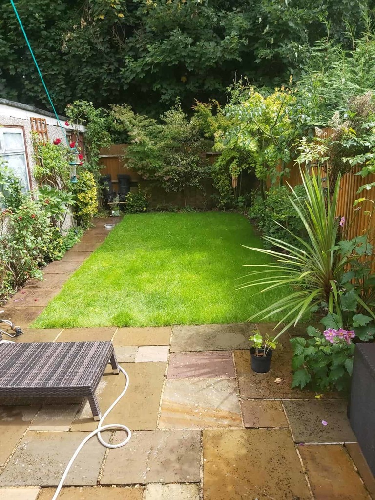 When to Plant Grass Seed in the UK What Time of Year is Best?