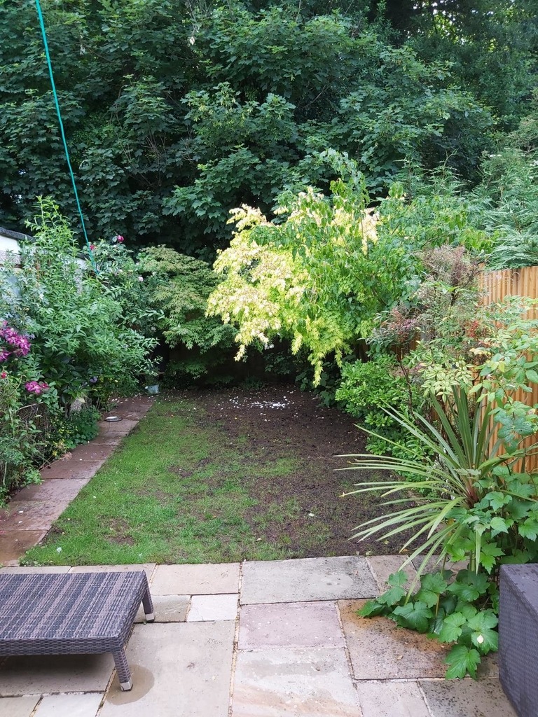 When to Plant Grass Seed in the UK What Time of Year is Best?