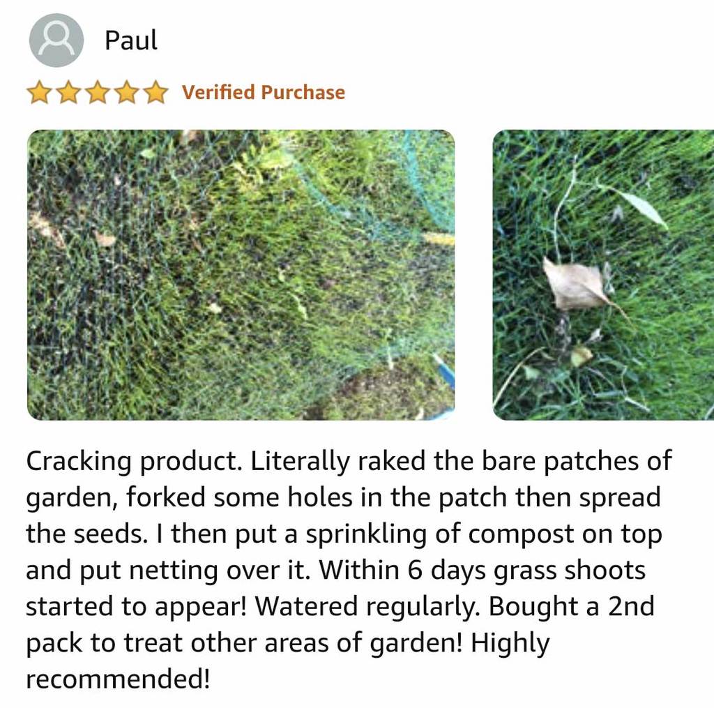 Fast Growing, Shade Tolerant Grass Seed for Any Lawn, Shade, Wet, Shine