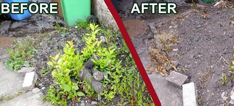 before-after-new-1