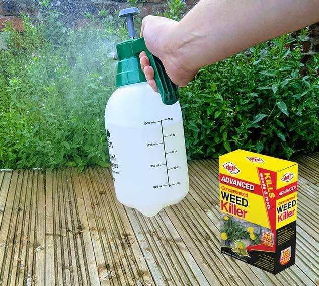 Best Strongest Weed Killer