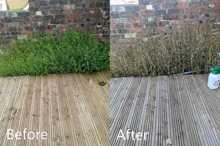 before-after-1