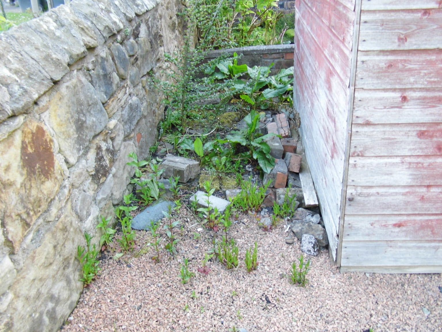Kill Weeds on Block Paving, How to Get Rid of Weeds in Block Paving