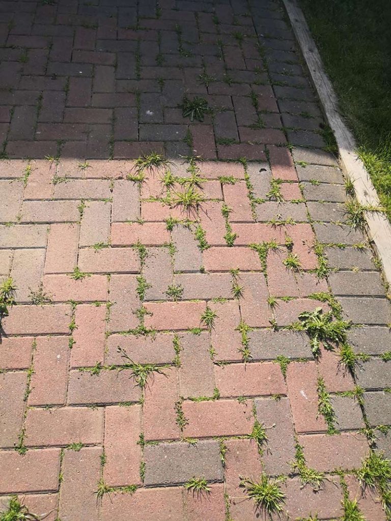 How to Prevent & Kill Weeds on Gravel Driveways