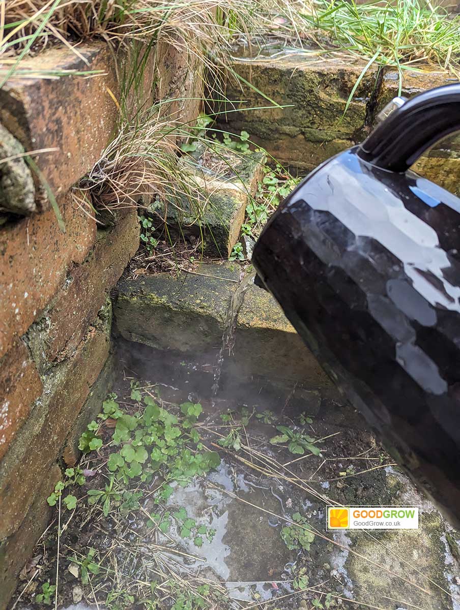 Killing Weeds with Boiling Hot Water. Will it Kill Weeds in the UK?