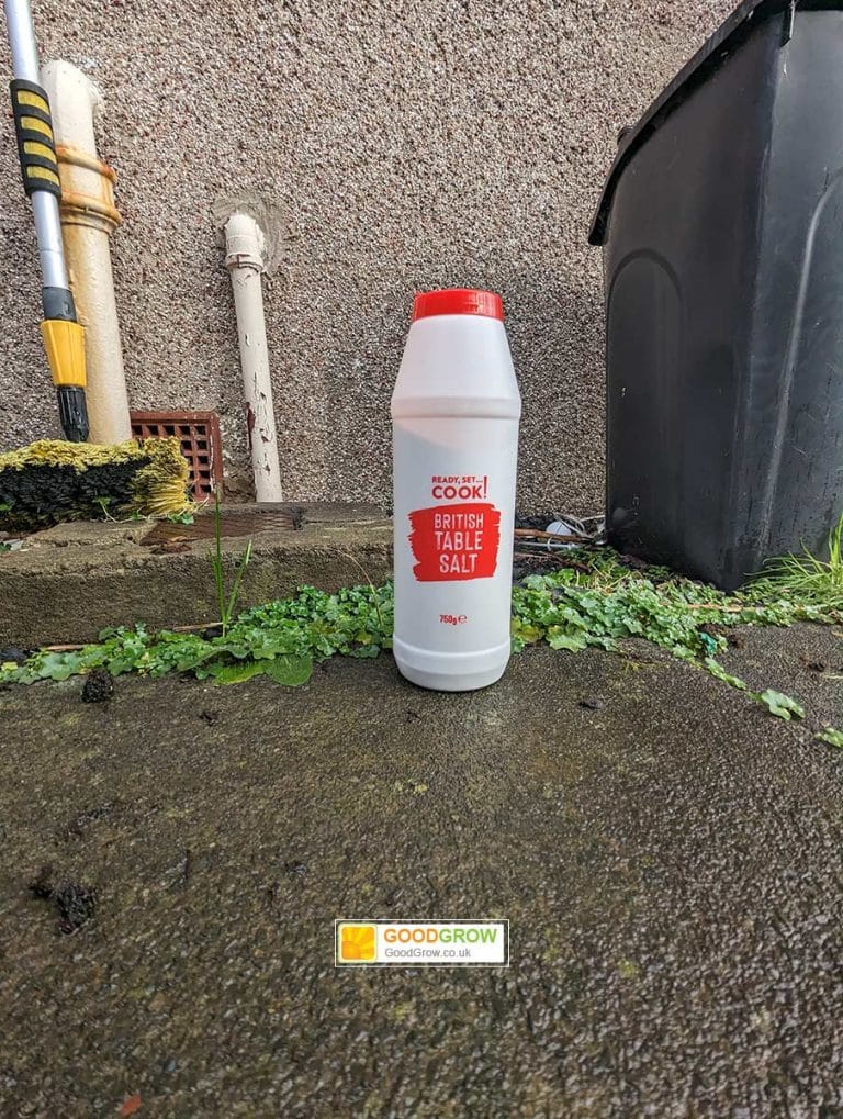 Killing Thistles & Their Roots (Easiest Ways to do it)