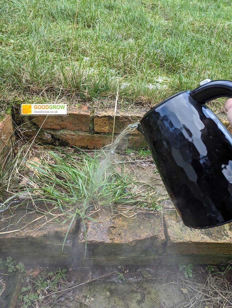 Strong Homemade Weed Killer UK (Tried & Tested with Results)