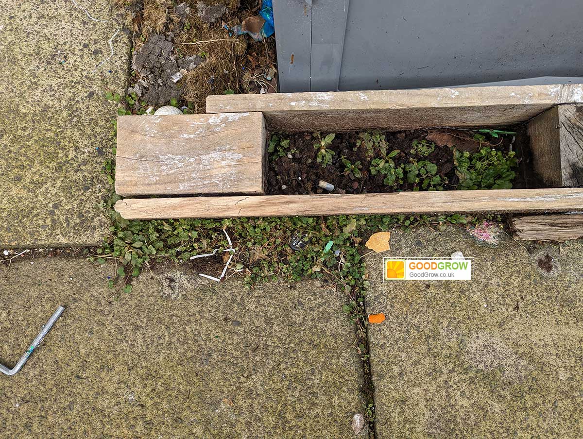 Partial results from vinegar weed killer test