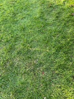 Image #1 from Roger P