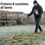 Winter Lawn Treatment