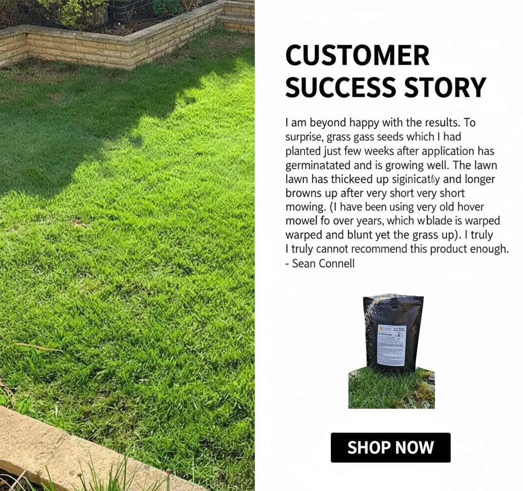 Winter Lawn Treatment - Image 3