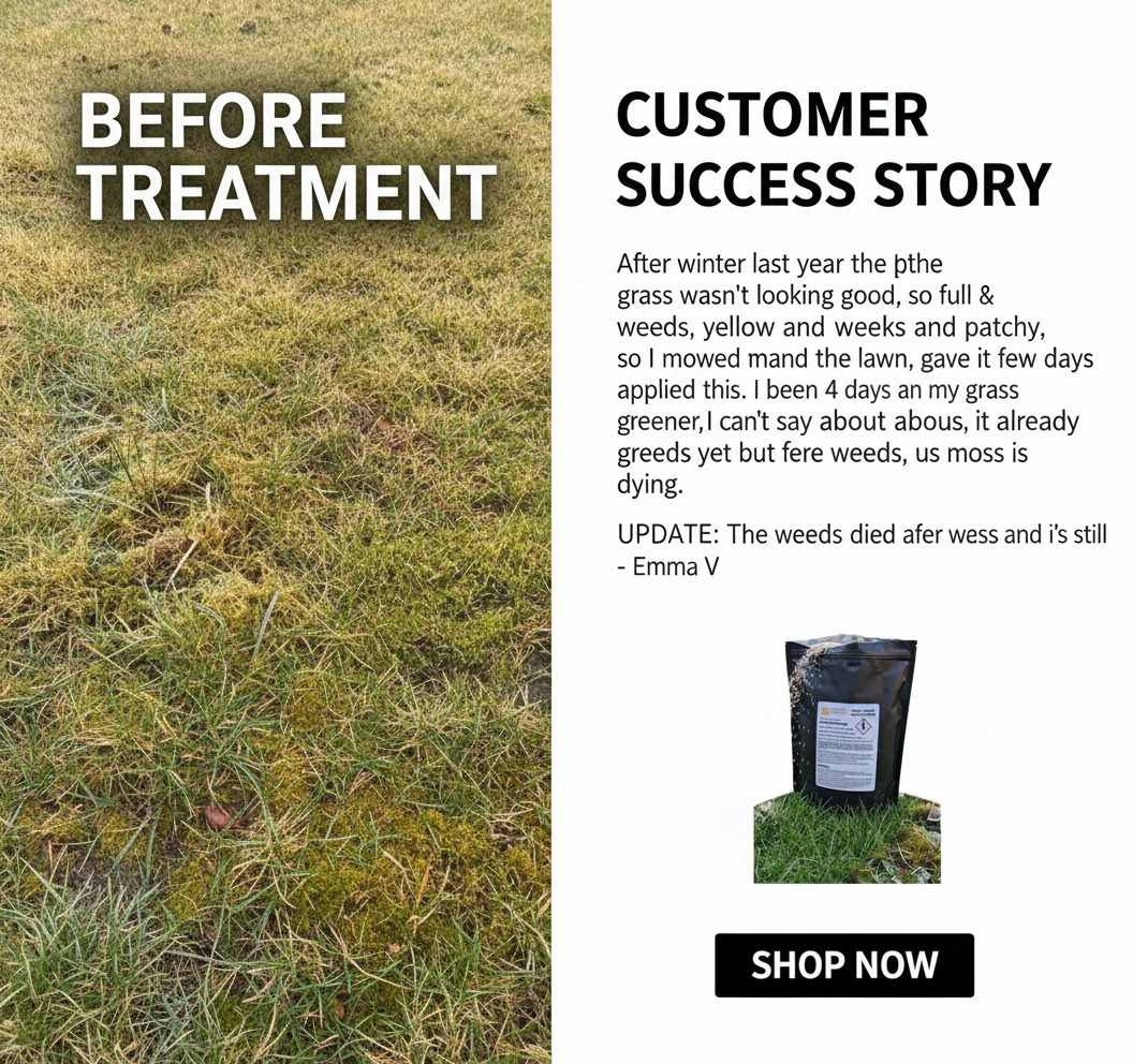 Winter Lawn Treatment - Image 2