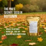 Autumn Lawn Seed | August-October Renovation & Repair