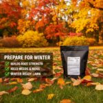 Autumn Lawn Treatment