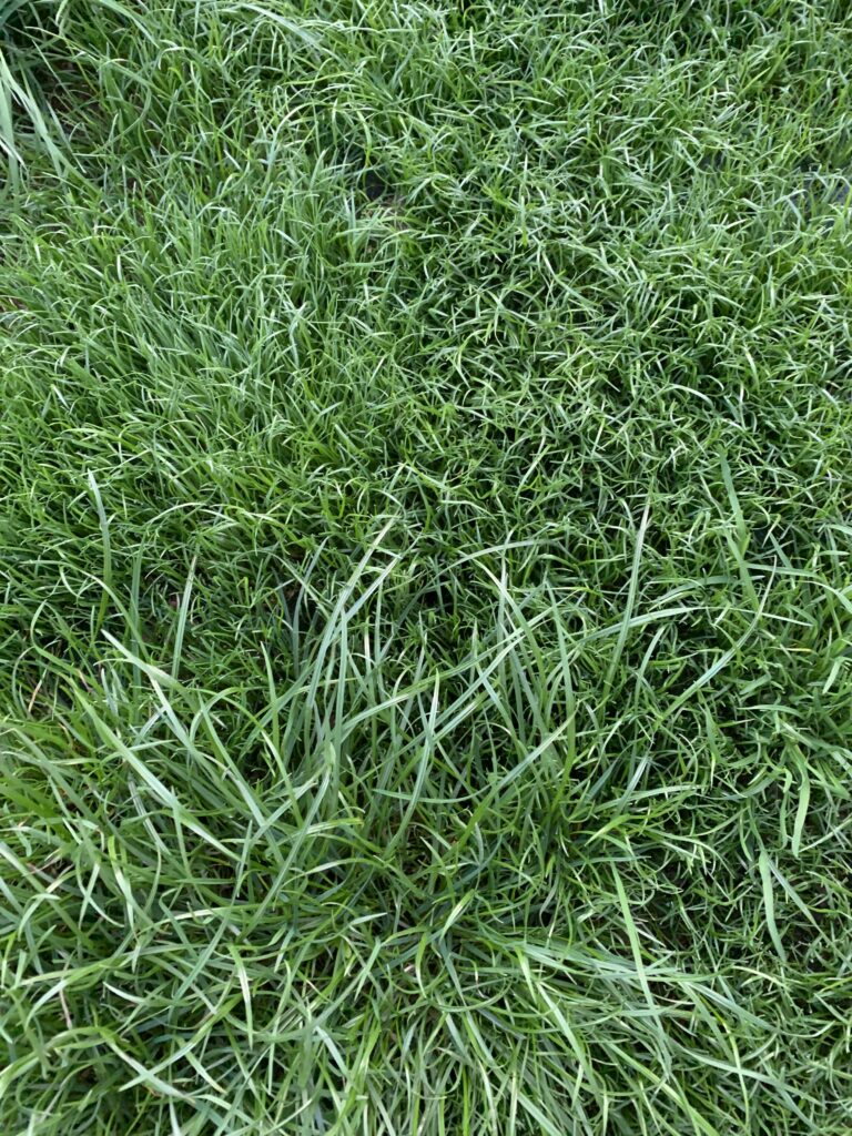 Image #2 from Robert Moss