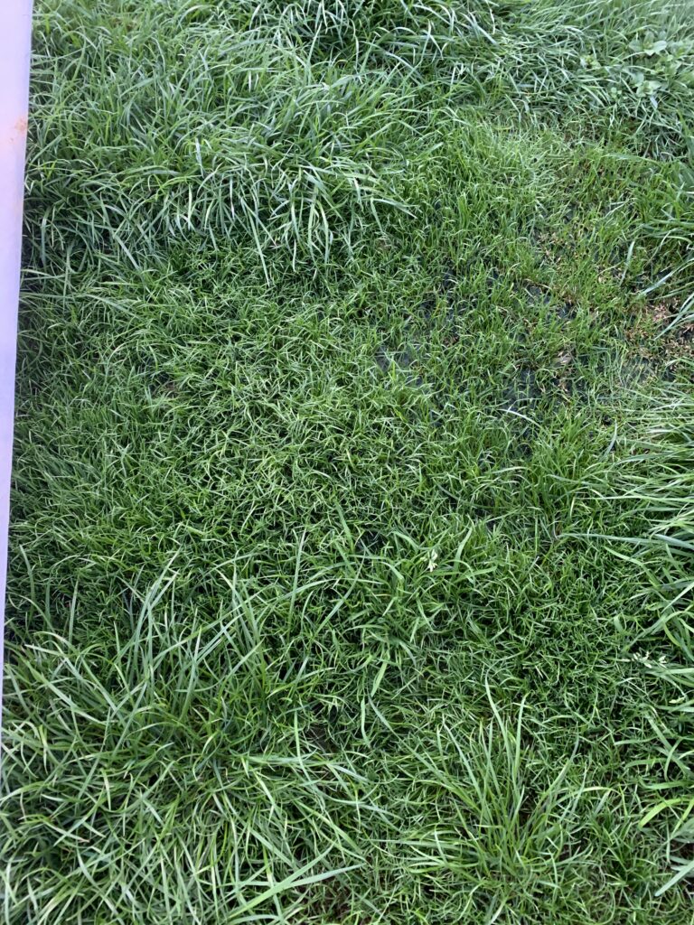 Image #1 from Robert Moss