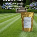 Luxury Grass Seed | Premium Ornamental Lawn Seed