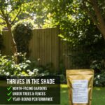 Shade Tolerant Grass Seed | For North-Facing & Low-Light Gardens