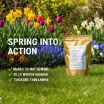 Spring Lawn Seed | March-May Overseeding & Thickening