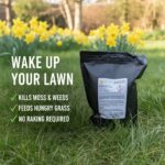 Spring Lawn Treatment