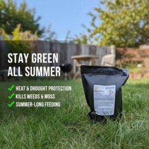 Summer Lawn Treatment